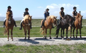 479_5 efstu í barnaf