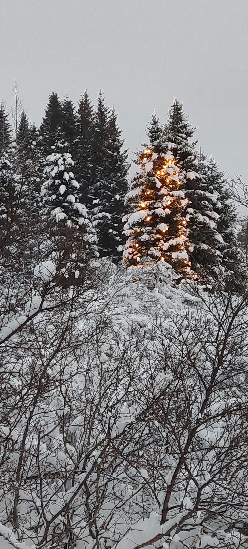 Fjárhagsáætlun samþykkt