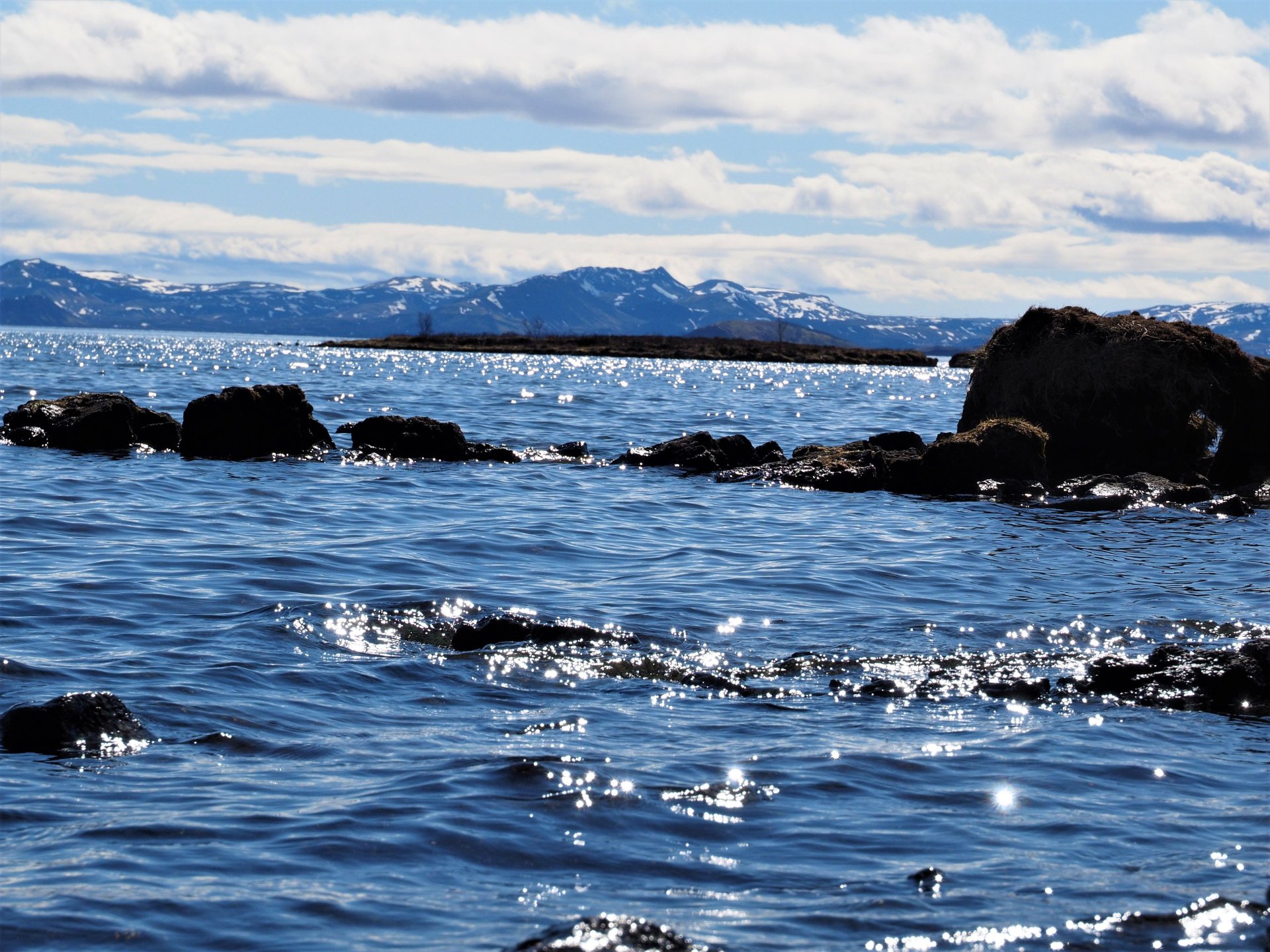 Tímabundin staða verkefnastjóra í úrgangsmálum