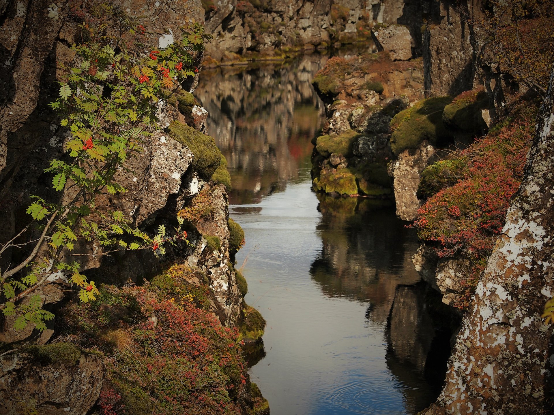 408. fundur sveitarstjórnar
