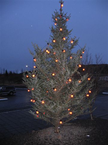 Kveikt á trénu við Aratungu