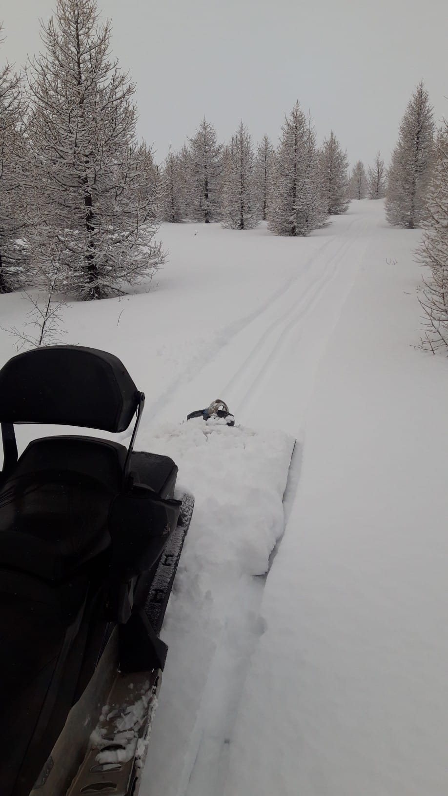 Gönguskíðabraut í Haukadalsskógi