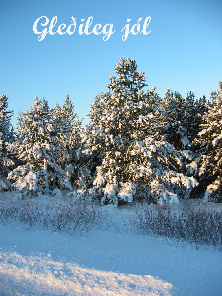 Gleðileg jól