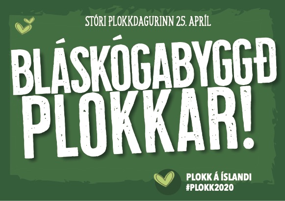 Plokkdagurinn 25. apríl