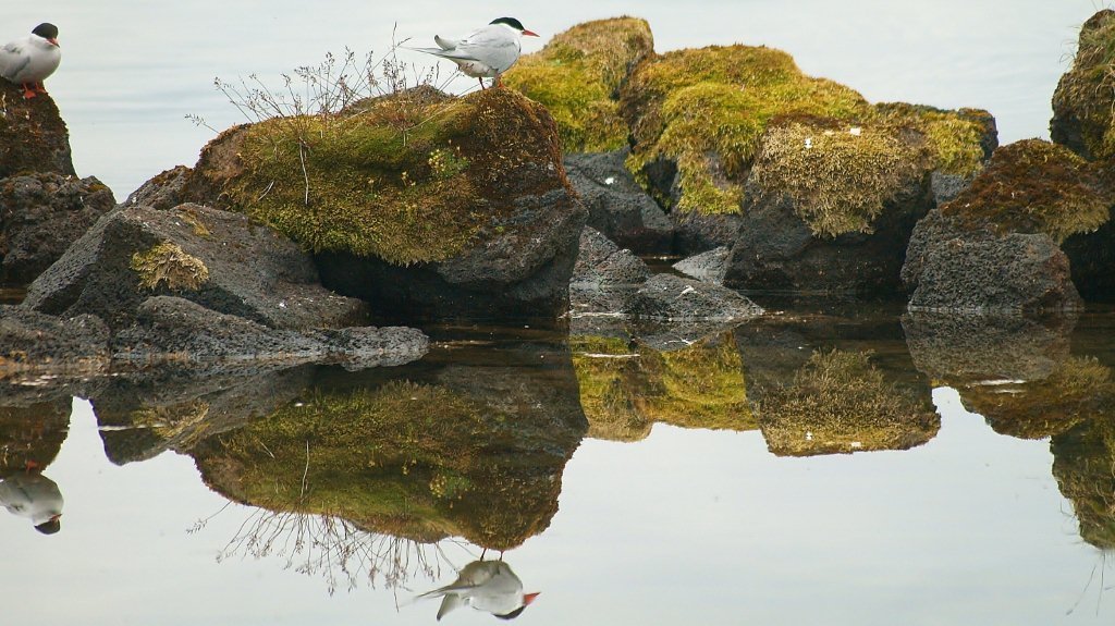 Vinnustofur: Stefnan sett á Áfangastaðinn Suðurland