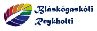 Kennari og stuðningsfulltrúi á yngsta stig óskast í Bláskógaskóla Reykholti frá áramótum